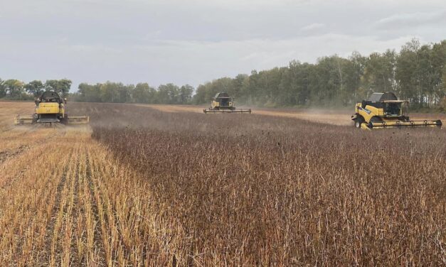 Ucraina: le pesanti conseguenze del crollo della diga di Kakhovka