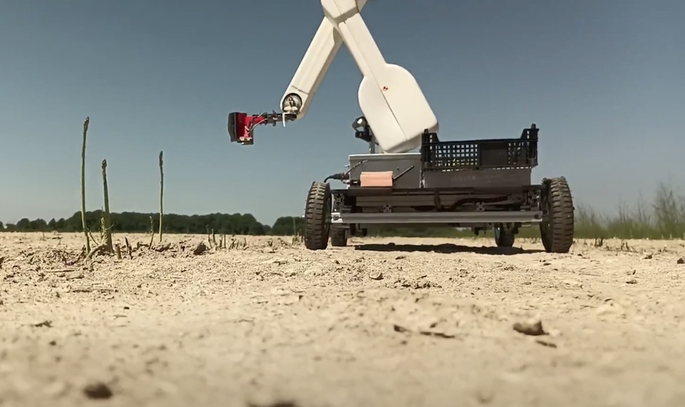 Autopickr: GUS, il robot a banda ultralarga per la raccolta degli asparagi