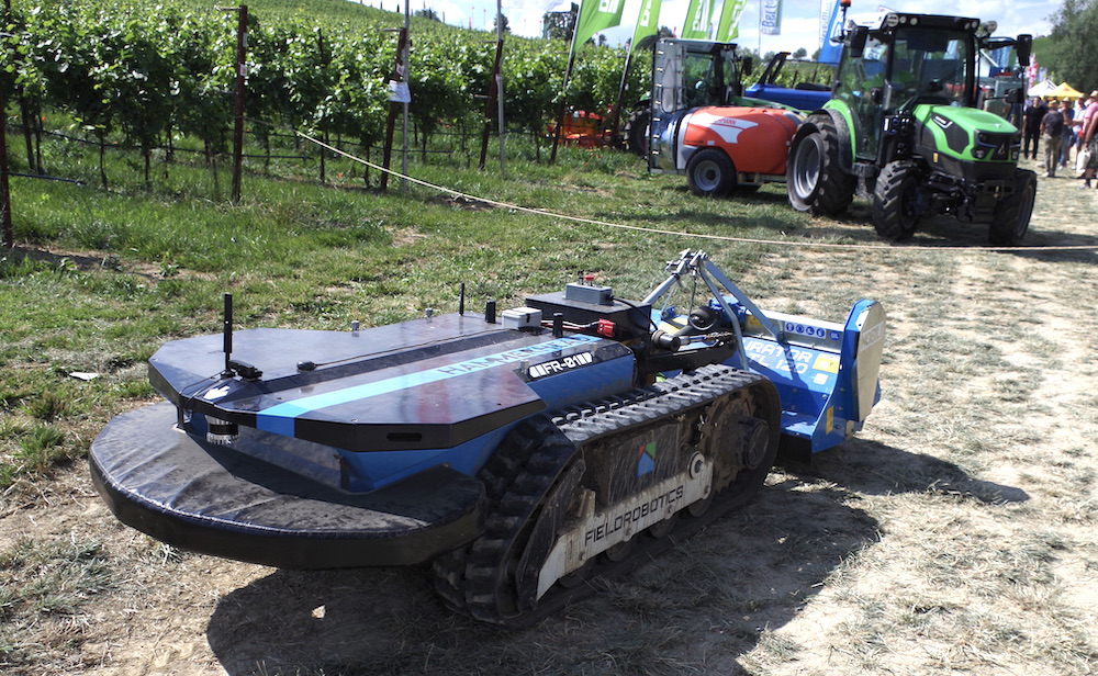 Robot Hammerhead FR-01  di FieldRobotics fotografato a Enovitis in campo 2024