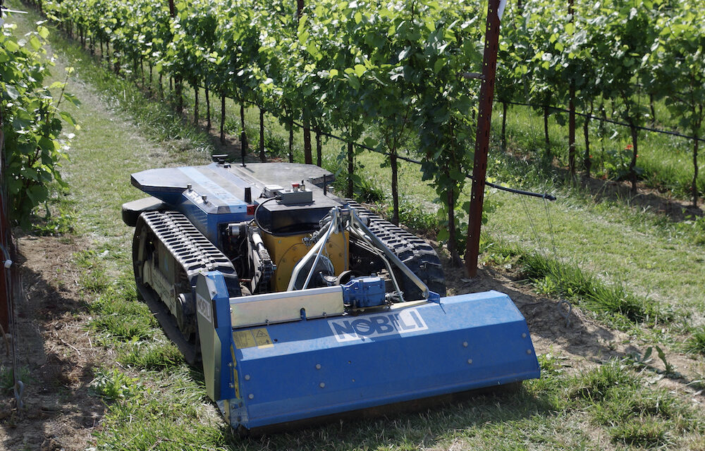 FieldRobotics: Hammerhead, robot portattrezzi adatto a ogni lavorazione tra i filari