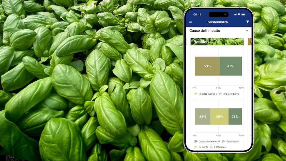 xFarm Technologies e Barilla insieme per la digitalizzazione della filiera del basilico