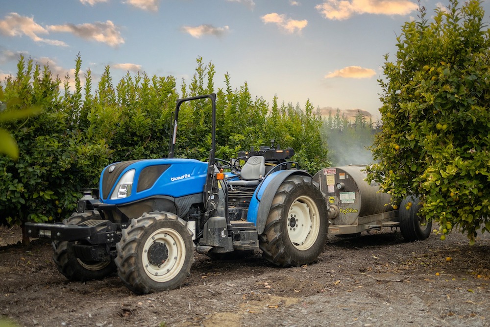 New Holland Bluewhite