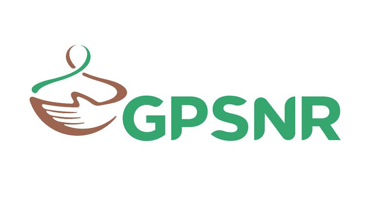 Logo GPSNR