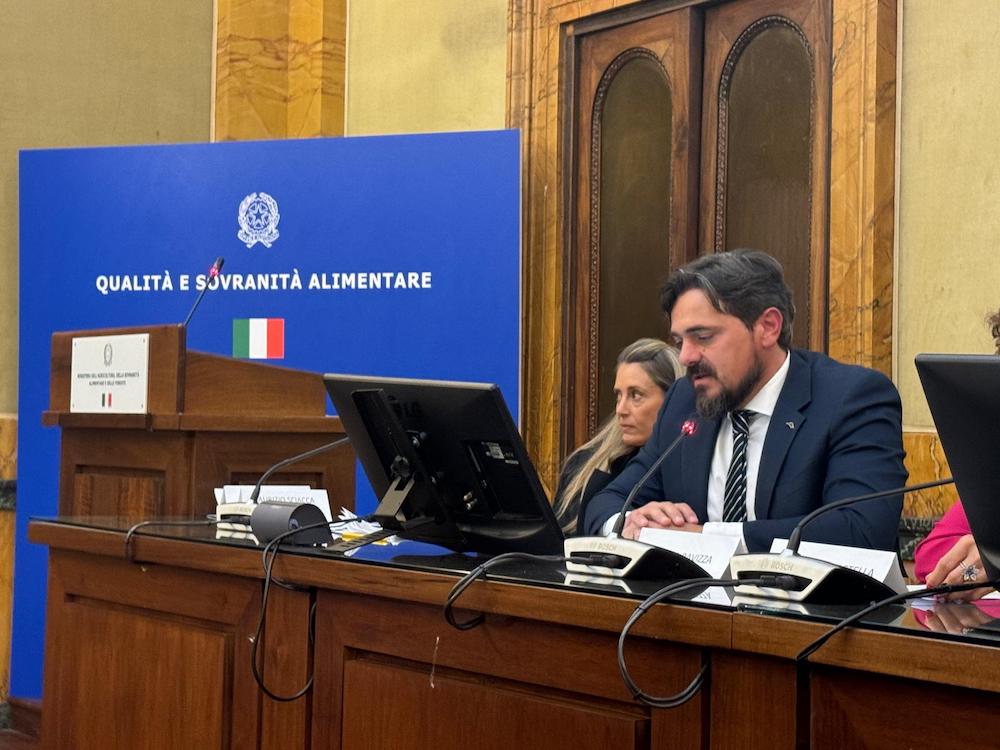 Gianluca Ravizza, vicepresidente di CAI Agromec, al convegno Federacma